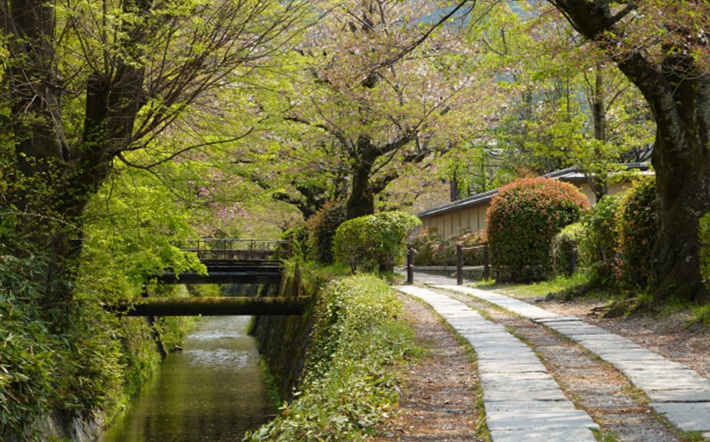 京都学派およびポスト京都学派における科学哲学および技術哲学研究